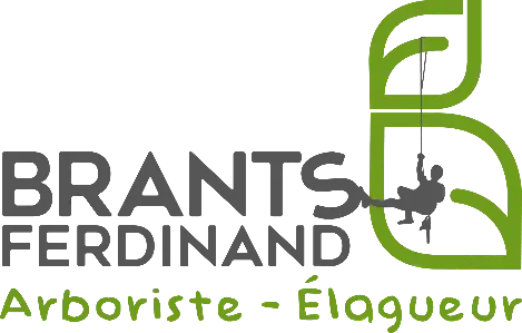 Ferdinand Brants